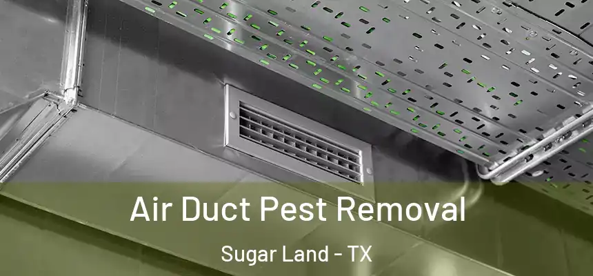 Air Duct Pest Removal Sugar Land - TX