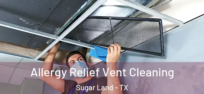 Allergy Relief Vent Cleaning Sugar Land - TX