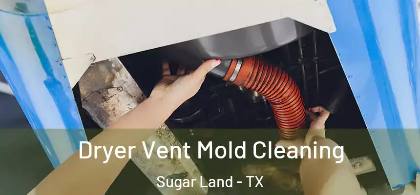 Dryer Vent Mold Cleaning Sugar Land - TX