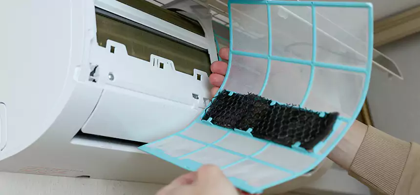 Gentle Ductwork Odor-Control Pet Dander Duct Cleaning in Sugar Land, TX