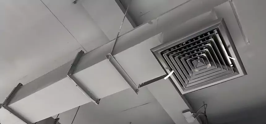 Our Rodent Droppings In Vents Services in Sugar Land, TX