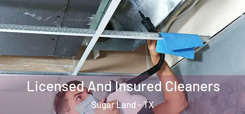 Licensed And Insured Cleaners Sugar Land - TX