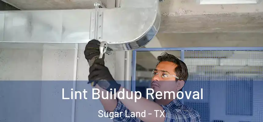  Lint Buildup Removal Sugar Land - TX