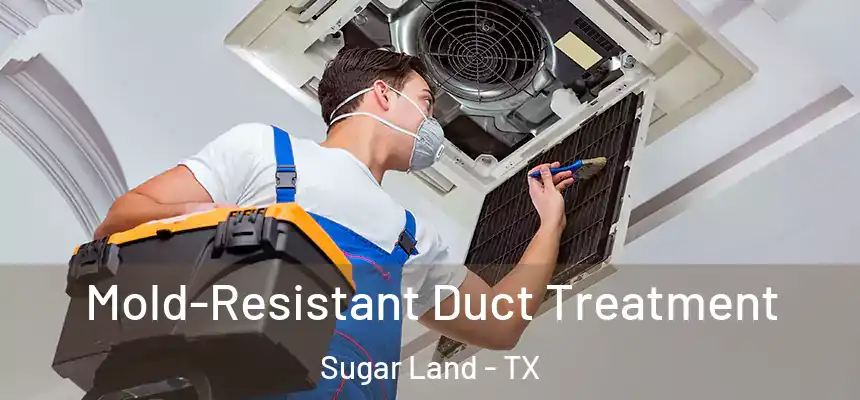 Mold-Resistant Duct Treatment Sugar Land - TX