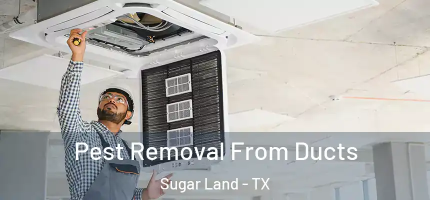 Pest Removal From Ducts Sugar Land - TX