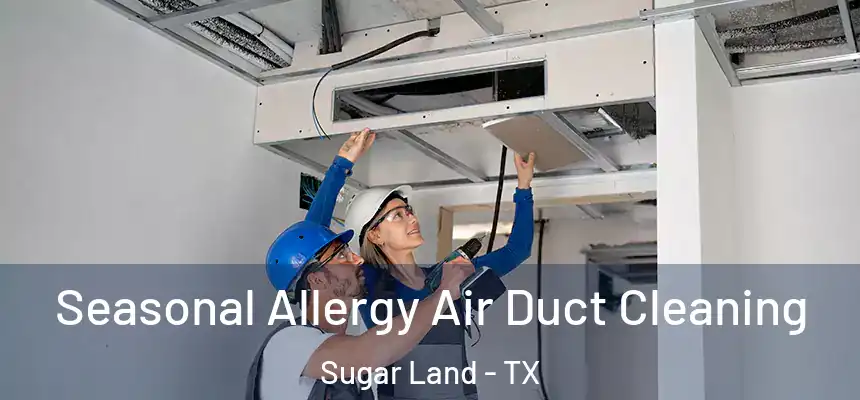 Seasonal Allergy Air Duct Cleaning Sugar Land - TX