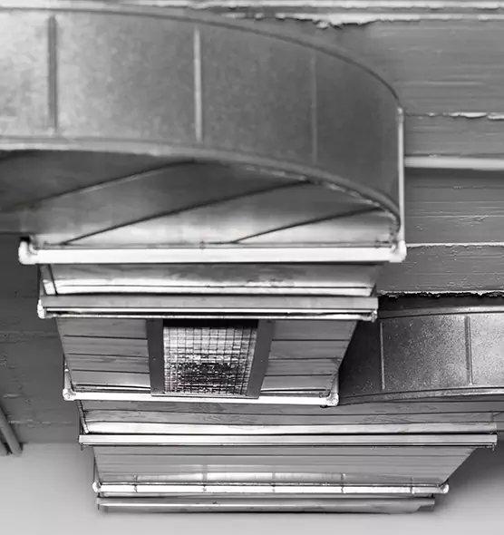 Professional Air Duct Pet Hair Removal in Sugar Land, TX