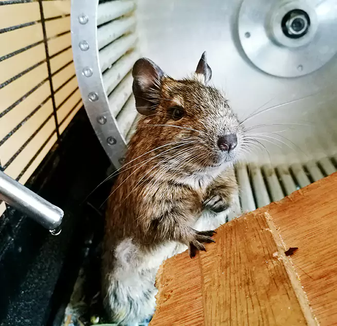 Why Homeowners & Businesses Trust Us Sugar Land, TX?