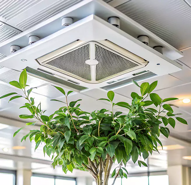 Why Homeowners & Businesses Trust Us in Sugar Land, TX