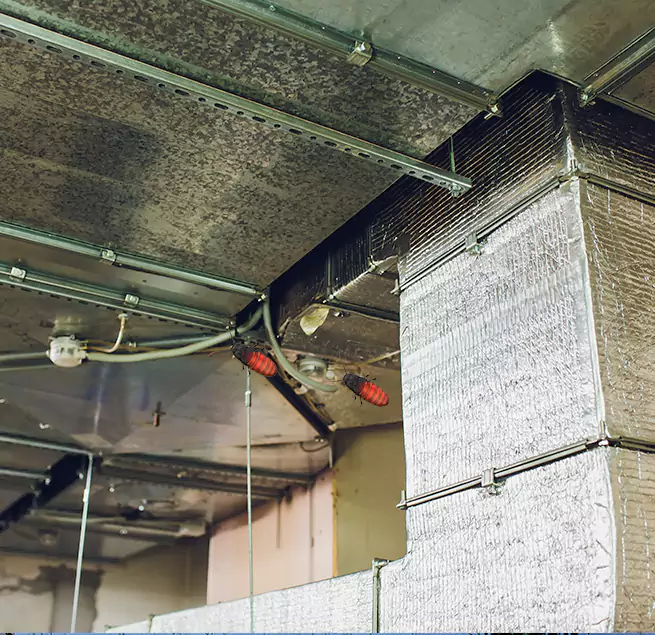 Why Homeowners & Businesses Trust Us Sugar Land, TX?