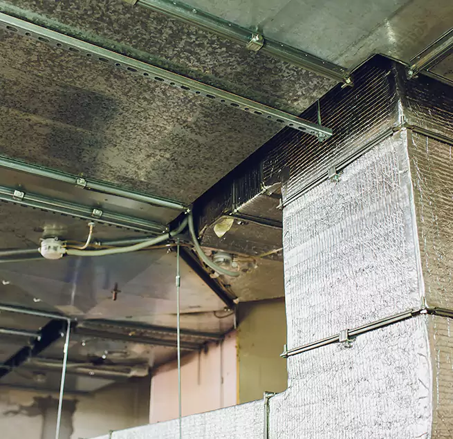 Why Homeowners & Businesses Trust Us in Sugar Land, TX?